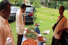 Bulog Lampung Operasi Pasar Cabai  