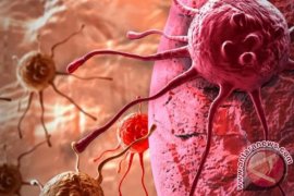 Hanya 12 persen penduduk Indonesia lakukan deteksi dini kanker