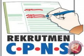 Pemkab Bangka Tengah buka 270 formasi CPNS
