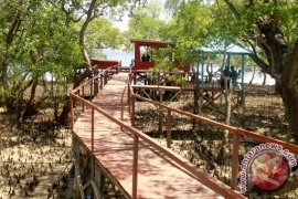 ECOWISATA HUTAN MANGROVE Page 1 Small