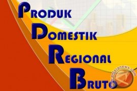 Sawahlunto Berupaya Tingkatkan Kontribusi Kepariwisataan Terhadap PDRB