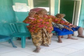 Dinsos Jember Bantah Warganya Makan Rumput