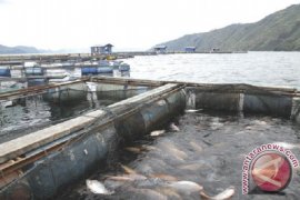 Budidaya Ikan Air Tawar
