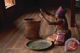 Aneka Lomba Meriahkan Aruh Banih Jaro Tabalong