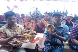 Peternak Blitar Bagikan Telur dan Ayam Panggang