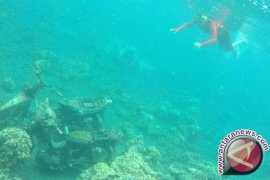 Zainut Tauhid : MUI Apresiasi Pantai Syariah Di Banyuwangi