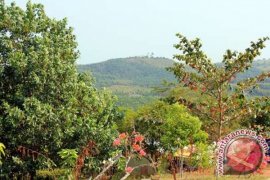 Bupati Serahkan Bantuan 25 Tenda