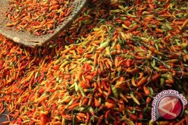 Menyantap makanan pedas membuat badan lebih adem