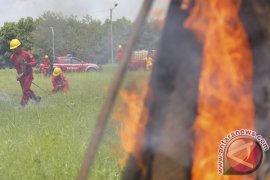 Simulasi Pemadam Kebakaran Hutan Page 2 Small