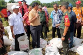 Dirjen Kementan-Danrem 083/Bdj Pantau Serapan Gabah di Jember