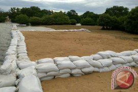 BIPPLH Berikan Keterangan "Reklamasi" Terselubung Tahura Benoa