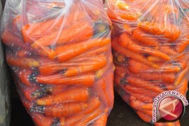 Penyelundupan 1 Ton Wortel Berhasil Digagalkan