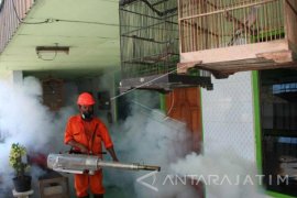 Dinkes: Jumlah Penderita DBD di Bojonegoro Menurun