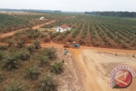 BI Optimistic South Kalimantan Economy Grows to 5.7 percent