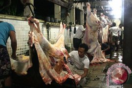 Pol PP Bangka Tengah Tertibkan Rumah Potong