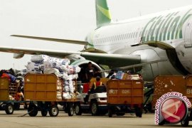 Domestic air passenger traffic up 33% in Nov