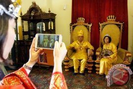 10 Persen Spesies Katak Indonesia Terancam Punah