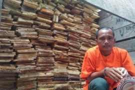 Polisi amankan sopir truk pengangkut kayu ilegal 