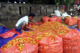 Pedagang: Harga Cabai Rawit di Bojonegoro Turun