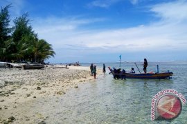 Komunitas Bengkulu Uji Coba Mangrove Pulau Tikus