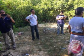 TWBI Temukan 42 "Reklamasi" Terselubung di Benoa