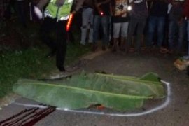 Sopir ini Tewas Terlindas Mobil Sendiri di Jalan Lintas Timur