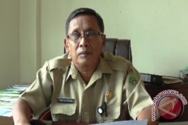 Produksi Padi Penajam Diprediksi Naik 1.456 Ton 