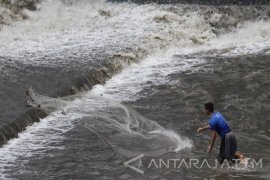Pendangkalan DAS Brantas