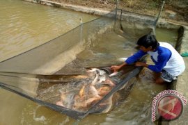 UPR Keluhkan Minimnya Kerja Sama Pemkab Landak