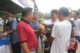 Pemkab Gianyar Gelar Kontes Anjing Sehat