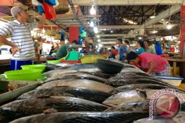 Harga Ikan di Tanjungpinang Tidak Stabil
