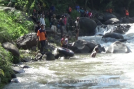 Korban Hanyut Magetan Terima Asuransi Rp15 Juta (Video)