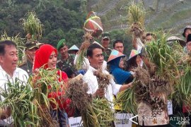 Mentan: Produksi Bawang Putih Temanggung Capai 10 Ton/Hektare