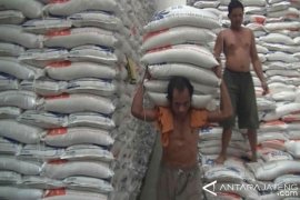 Penyerapan beras Bulog Kedu baru capai 3.500 ton
