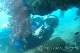 Banyak Terumbu Karang di Probolinggo Rusak