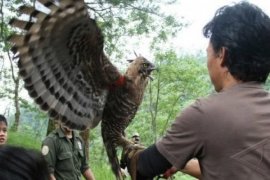 BKSDA Jateng Bentuk Forum Peduli Pelestarian Satwa Langka 