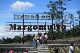Kebun Bunga di Kaki Gunung Kelud (Video)