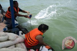 PT Timah Antisipasi Tumpahan BBM 