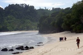 Pantai Ngalur, "Surga" di Balik Hutan Lindung