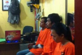 Berawal dari Ditangkapnya 2 Mahasiswa UIR, 12 Kg Ganja Ditemukan