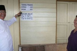 Bupati Inhil Tinjau Harga Pinang Dan Kelapa Di Lapangan