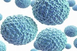 400 Perempuan Hamil Tertular Virus Zika di Ekuador Dalam Setahun