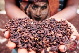 Harga komoditi  perkebunan di Ambon turun