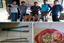 Polisi Amankan Spesialis Pencuri Sarang Walet