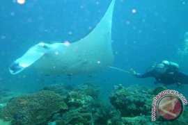 BPS estimates Indonesia received 16.3 million tourists in 2019