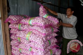 HARGA BAWANG PUTIH NAIK Page 1 Small