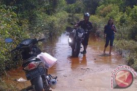Jalan Menuju Pendang Barito Selatan Terendam Banjir