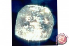 Banjarbaru panner finds a 39-carats diamond