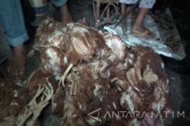Polisi Amankan 250 Kilogram Daging Sapi Gelonggongan
