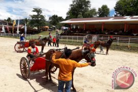 Solok Gelar Pacu Kuda Tradisional Pertahankan Tradisi